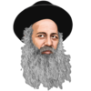 שולי רנד