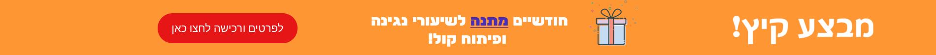 Promotion Banner